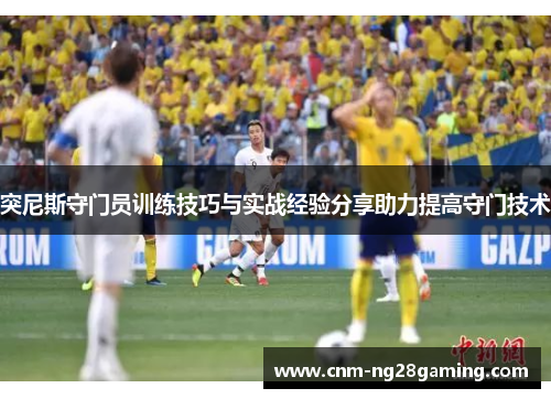 突尼斯守门员训练技巧与实战经验分享助力提高守门技术