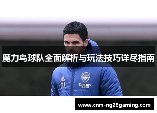 魔力鸟球队全面解析与玩法技巧详尽指南